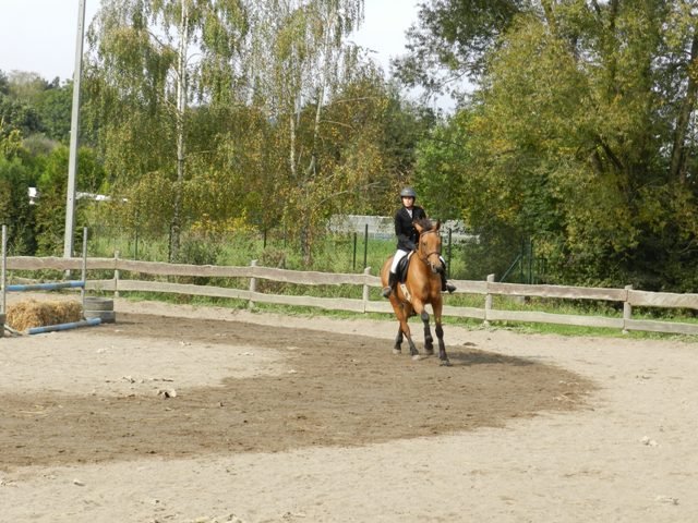 Babie Lato 2016